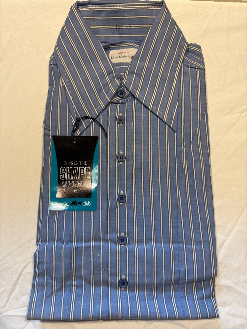 Shape Shirt by Carriage Club— Men's Blue Striped Dress Shirt